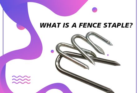 Fence Staple