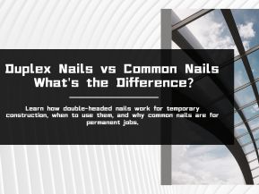 duplex nails supplier